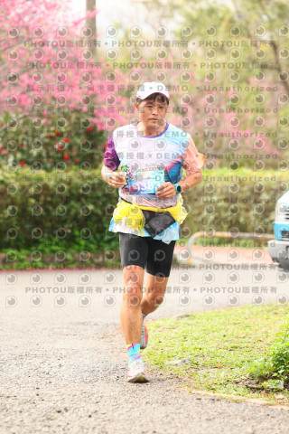 2026左岸竹東櫻花馬拉松Zhudong Sakura Marathon