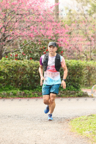 2026左岸竹東櫻花馬拉松Zhudong Sakura Marathon