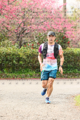 2026左岸竹東櫻花馬拉松Zhudong Sakura Marathon