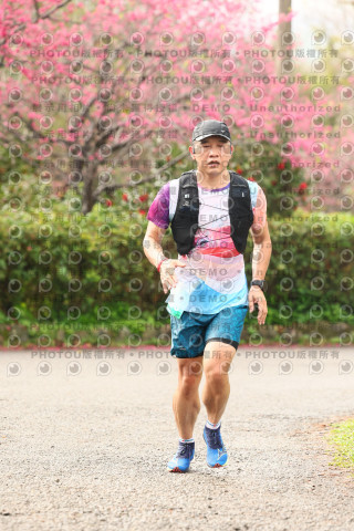 2026左岸竹東櫻花馬拉松Zhudong Sakura Marathon