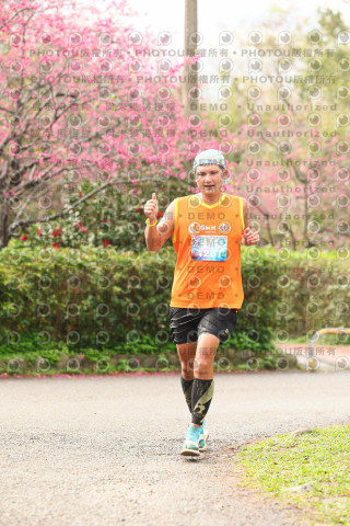 2026左岸竹東櫻花馬拉松Zhudong Sakura Marathon