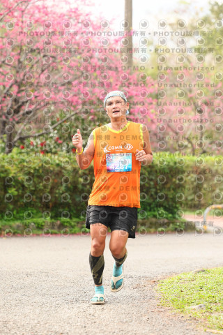 2026左岸竹東櫻花馬拉松Zhudong Sakura Marathon