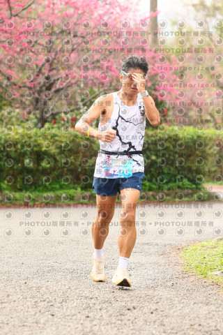 2026左岸竹東櫻花馬拉松Zhudong Sakura Marathon