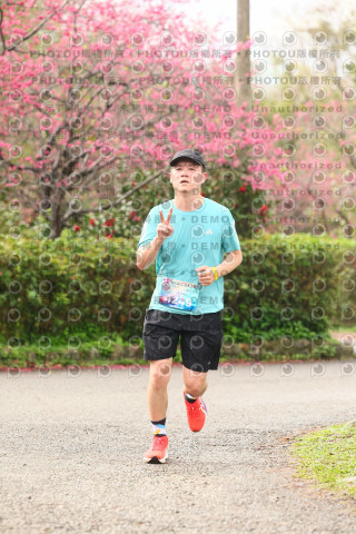 2026左岸竹東櫻花馬拉松Zhudong Sakura Marathon