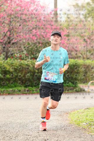 2026左岸竹東櫻花馬拉松Zhudong Sakura Marathon