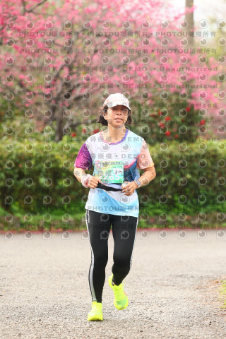 2026左岸竹東櫻花馬拉松Zhudong Sakura Marathon
