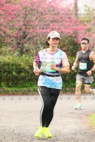 2026左岸竹東櫻花馬拉松Zhudong Sakura Marathon