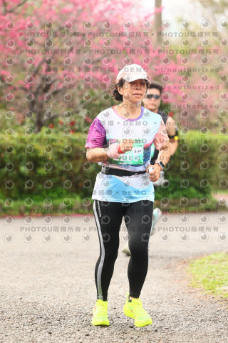2026左岸竹東櫻花馬拉松Zhudong Sakura Marathon