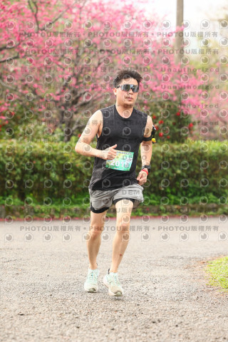 2026左岸竹東櫻花馬拉松Zhudong Sakura Marathon