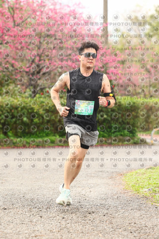 2026左岸竹東櫻花馬拉松Zhudong Sakura Marathon