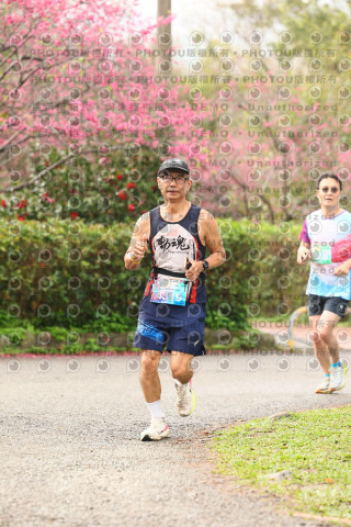 2026左岸竹東櫻花馬拉松Zhudong Sakura Marathon