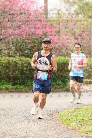 2026左岸竹東櫻花馬拉松Zhudong Sakura Marathon