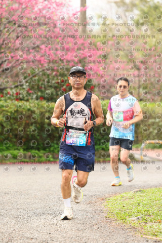 2026左岸竹東櫻花馬拉松Zhudong Sakura Marathon