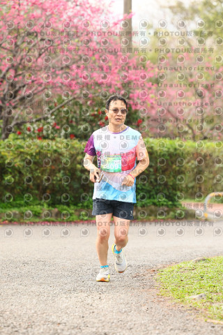 2026左岸竹東櫻花馬拉松Zhudong Sakura Marathon