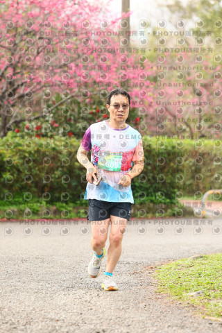 2026左岸竹東櫻花馬拉松Zhudong Sakura Marathon