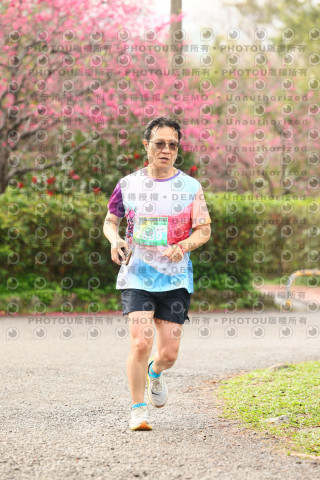 2026左岸竹東櫻花馬拉松Zhudong Sakura Marathon