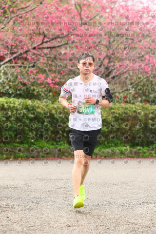 2026左岸竹東櫻花馬拉松Zhudong Sakura Marathon