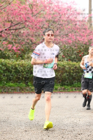 2026左岸竹東櫻花馬拉松Zhudong Sakura Marathon
