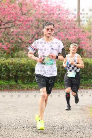 2026左岸竹東櫻花馬拉松Zhudong Sakura Marathon