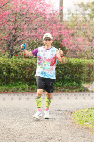 2026左岸竹東櫻花馬拉松Zhudong Sakura Marathon