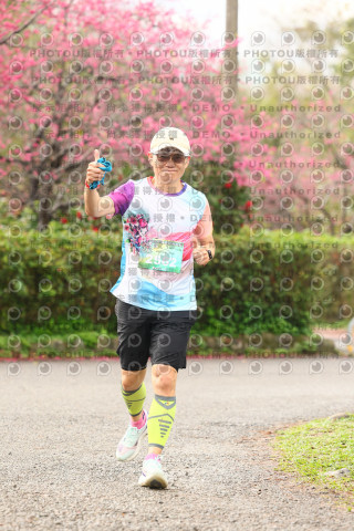 2026左岸竹東櫻花馬拉松Zhudong Sakura Marathon