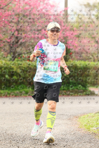 2026左岸竹東櫻花馬拉松Zhudong Sakura Marathon