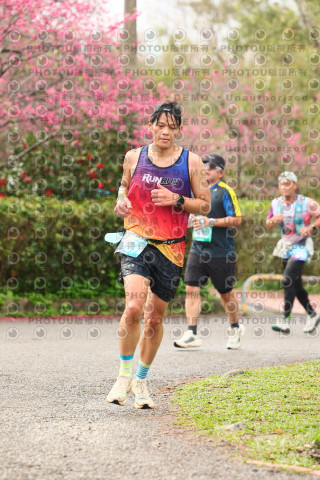 2026左岸竹東櫻花馬拉松Zhudong Sakura Marathon
