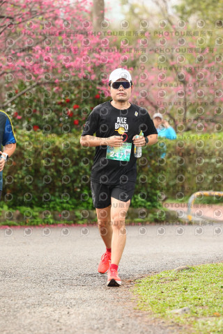 2026左岸竹東櫻花馬拉松Zhudong Sakura Marathon