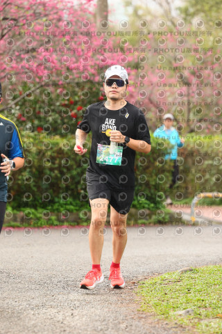 2026左岸竹東櫻花馬拉松Zhudong Sakura Marathon