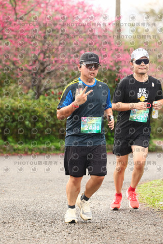 2026左岸竹東櫻花馬拉松Zhudong Sakura Marathon