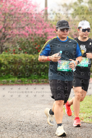 2026左岸竹東櫻花馬拉松Zhudong Sakura Marathon