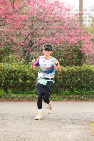 2026左岸竹東櫻花馬拉松Zhudong Sakura Marathon