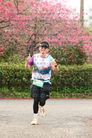 2026左岸竹東櫻花馬拉松Zhudong Sakura Marathon