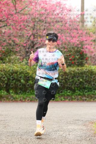 2026左岸竹東櫻花馬拉松Zhudong Sakura Marathon
