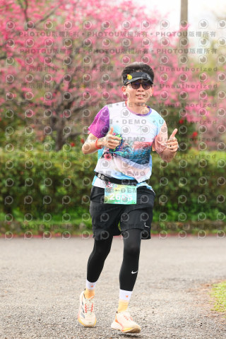 2026左岸竹東櫻花馬拉松Zhudong Sakura Marathon