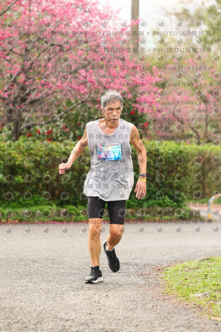 2026左岸竹東櫻花馬拉松Zhudong Sakura Marathon