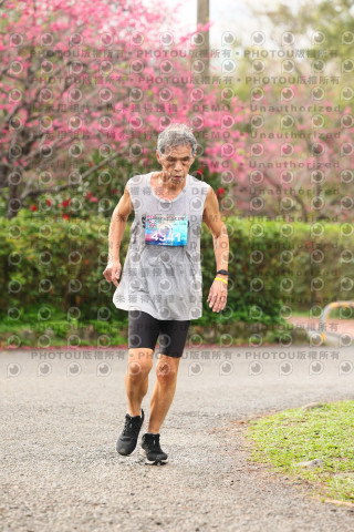 2026左岸竹東櫻花馬拉松Zhudong Sakura Marathon