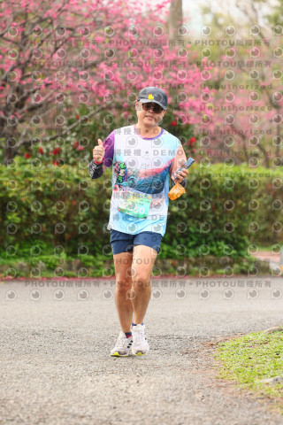2026左岸竹東櫻花馬拉松Zhudong Sakura Marathon