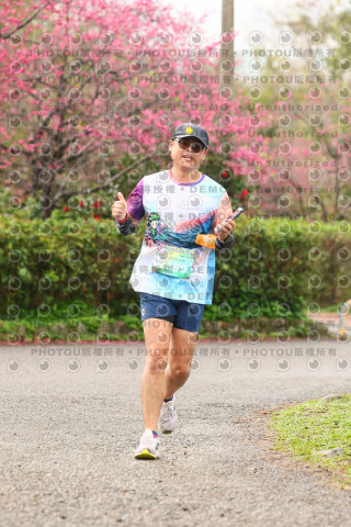 2026左岸竹東櫻花馬拉松Zhudong Sakura Marathon