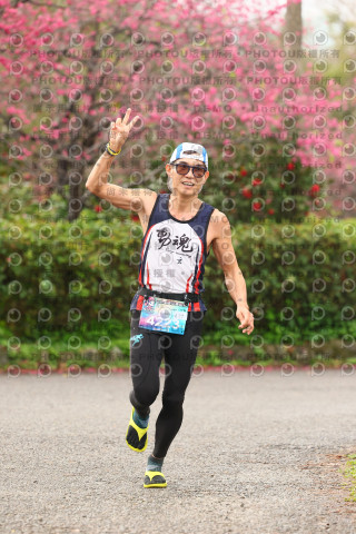 2026左岸竹東櫻花馬拉松Zhudong Sakura Marathon