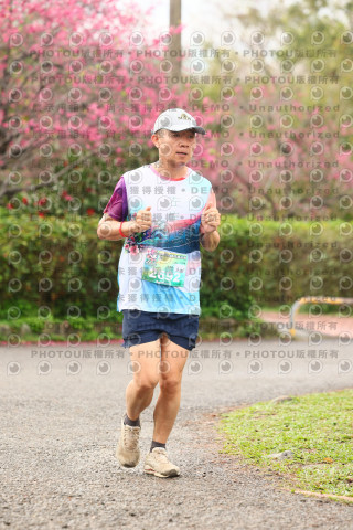 2026左岸竹東櫻花馬拉松Zhudong Sakura Marathon