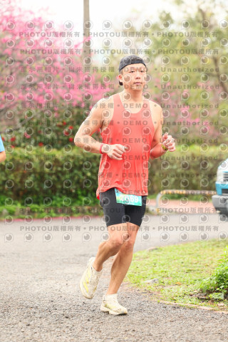 2026左岸竹東櫻花馬拉松Zhudong Sakura Marathon