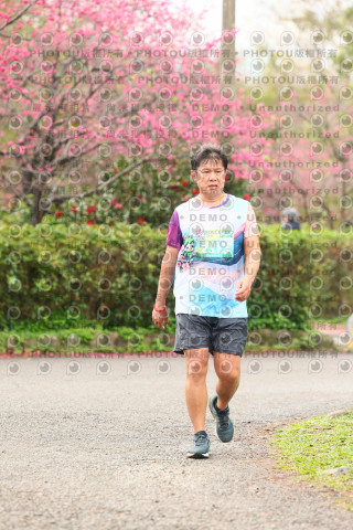 2026左岸竹東櫻花馬拉松Zhudong Sakura Marathon