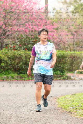 2026左岸竹東櫻花馬拉松Zhudong Sakura Marathon