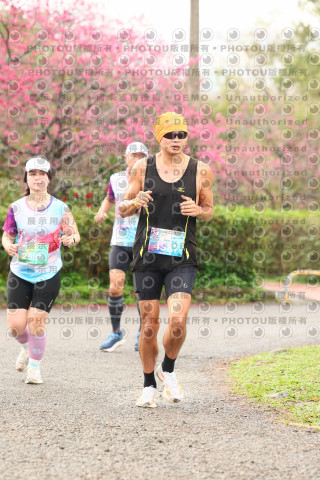 2026左岸竹東櫻花馬拉松Zhudong Sakura Marathon