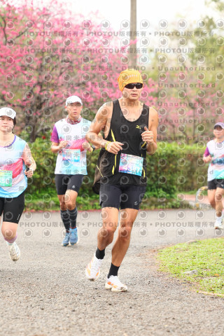 2026左岸竹東櫻花馬拉松Zhudong Sakura Marathon