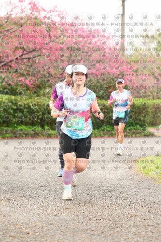 2026左岸竹東櫻花馬拉松Zhudong Sakura Marathon