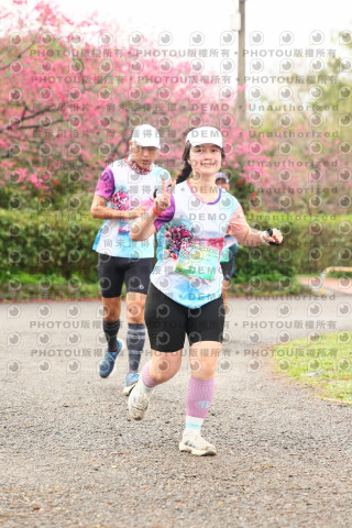 2026左岸竹東櫻花馬拉松Zhudong Sakura Marathon