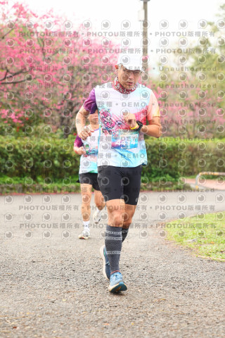 2026左岸竹東櫻花馬拉松Zhudong Sakura Marathon