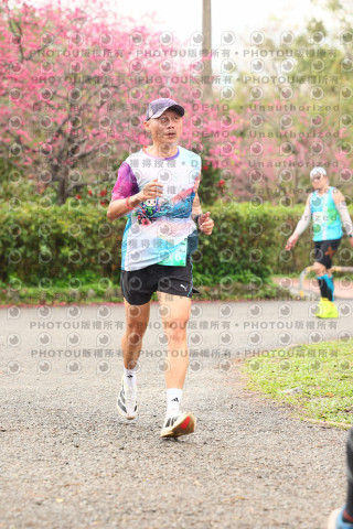 2026左岸竹東櫻花馬拉松Zhudong Sakura Marathon